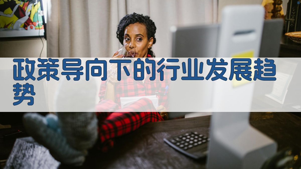 政策导向下的行业发展趋势 图2
