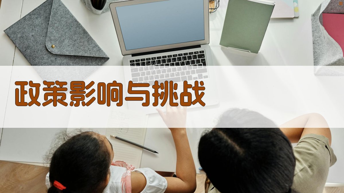 政策影响与挑战 图1