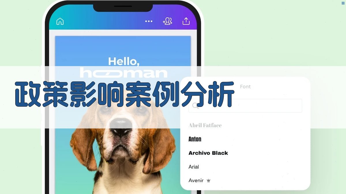 政策影响案例分析 图4