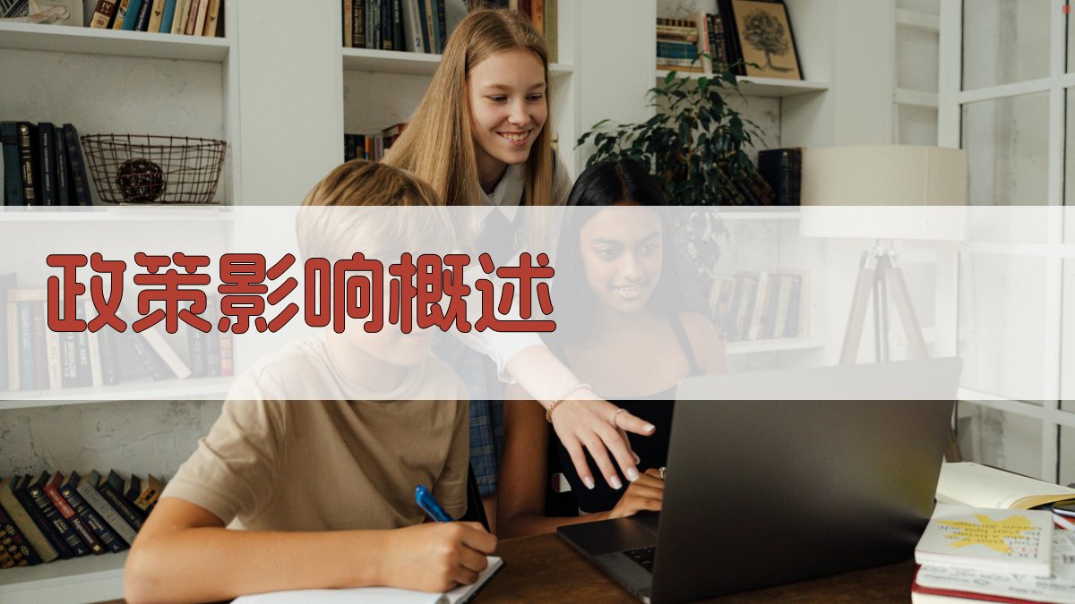 政策影响概述 图1