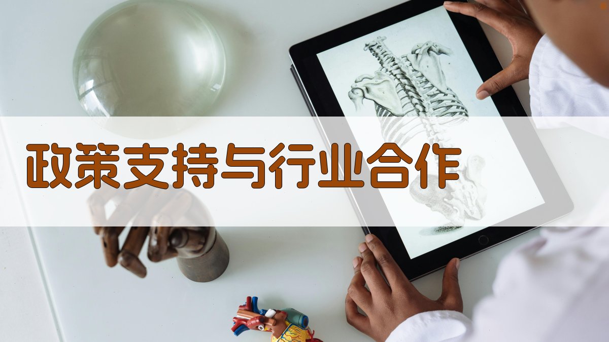 政策支持与行业合作 图3