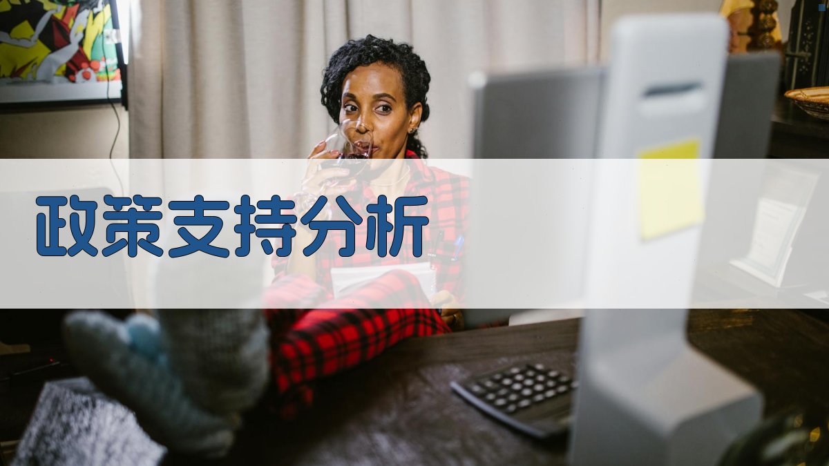 政策支持分析 图1