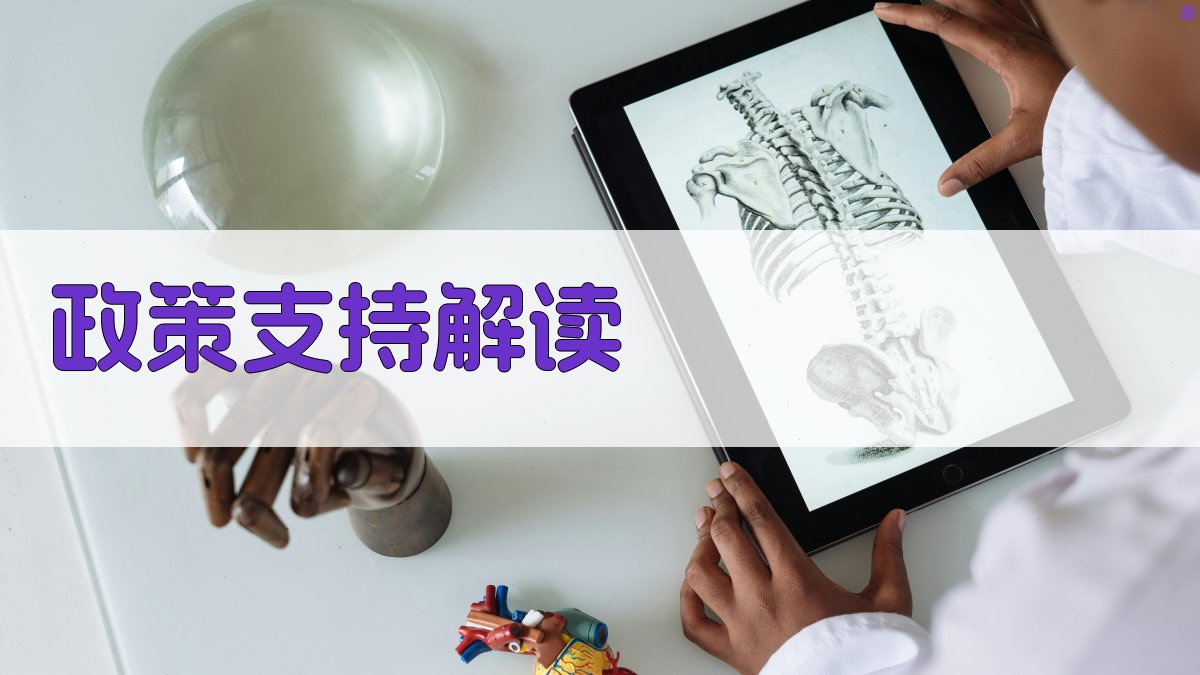 政策支持解读 图2
