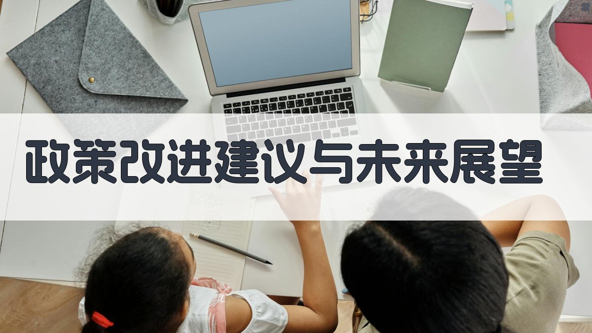 政策改进建议与未来展望 图4