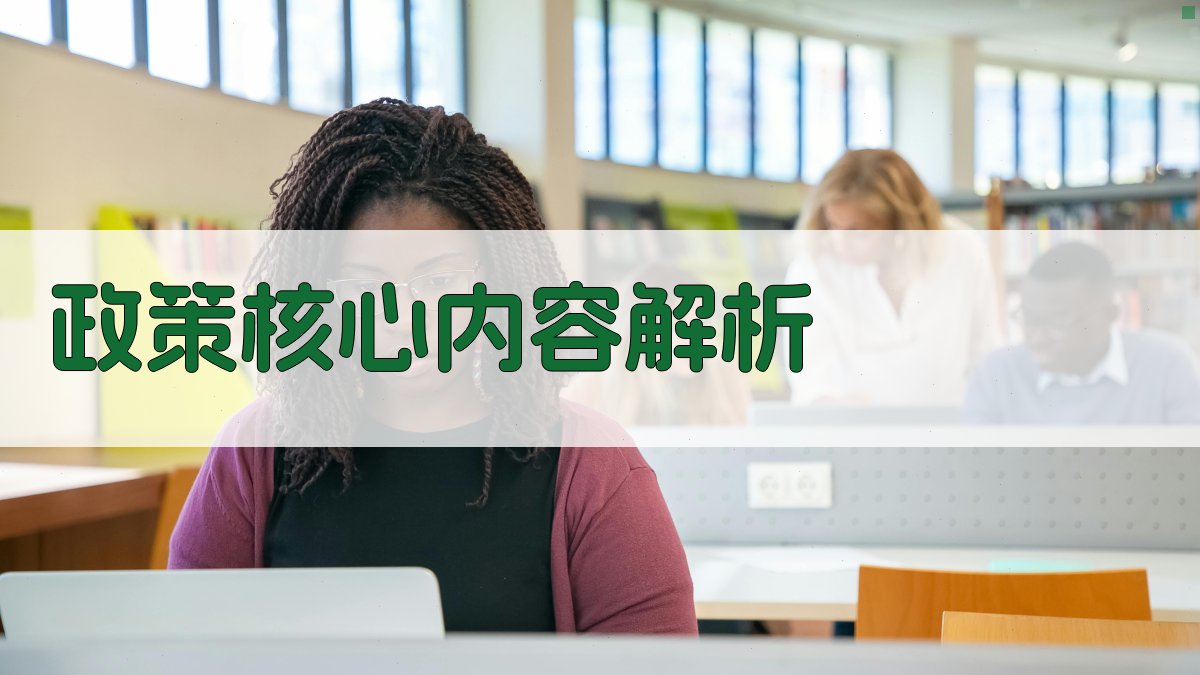 政策核心内容解析 图2