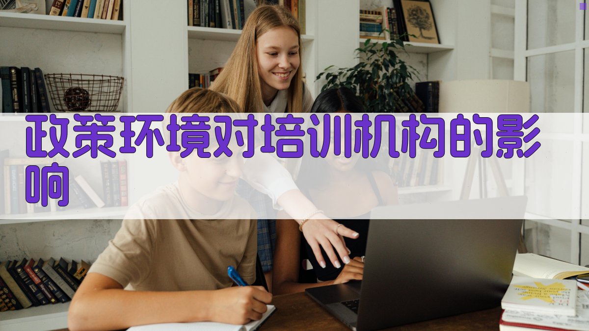 政策环境对培训机构的影响 图2