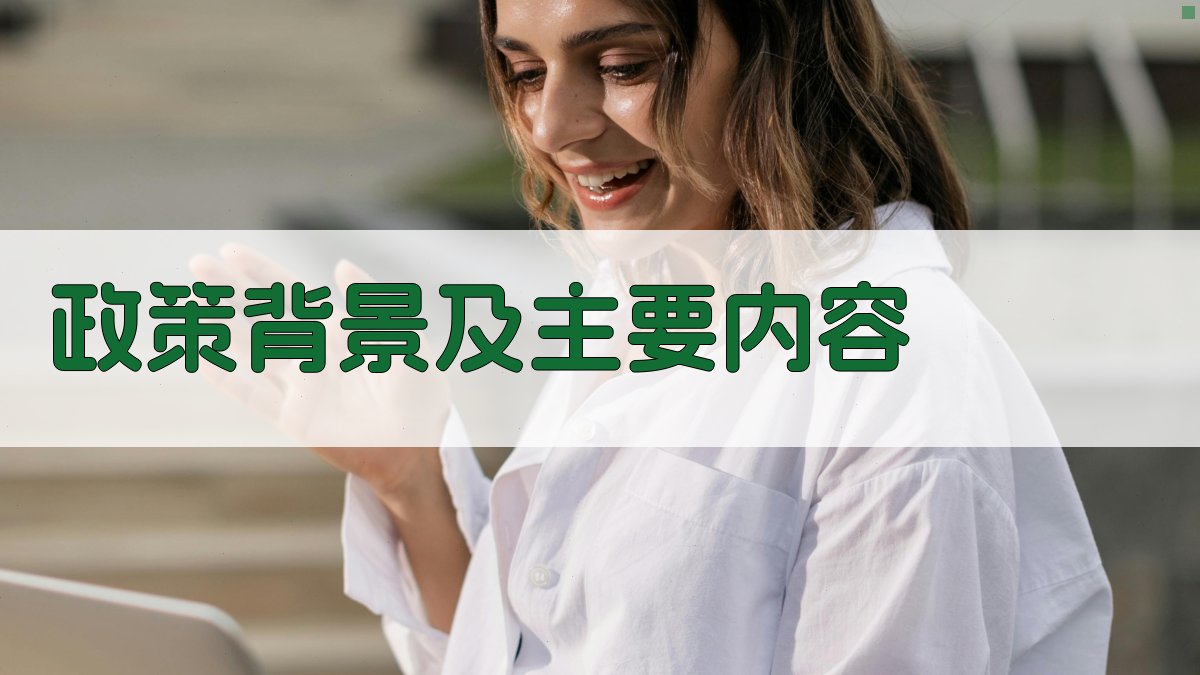 政策背景及主要内容 图1