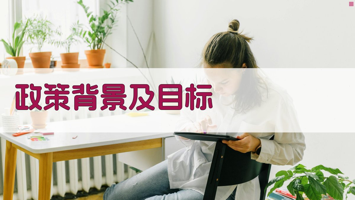 政策背景及目标 图1