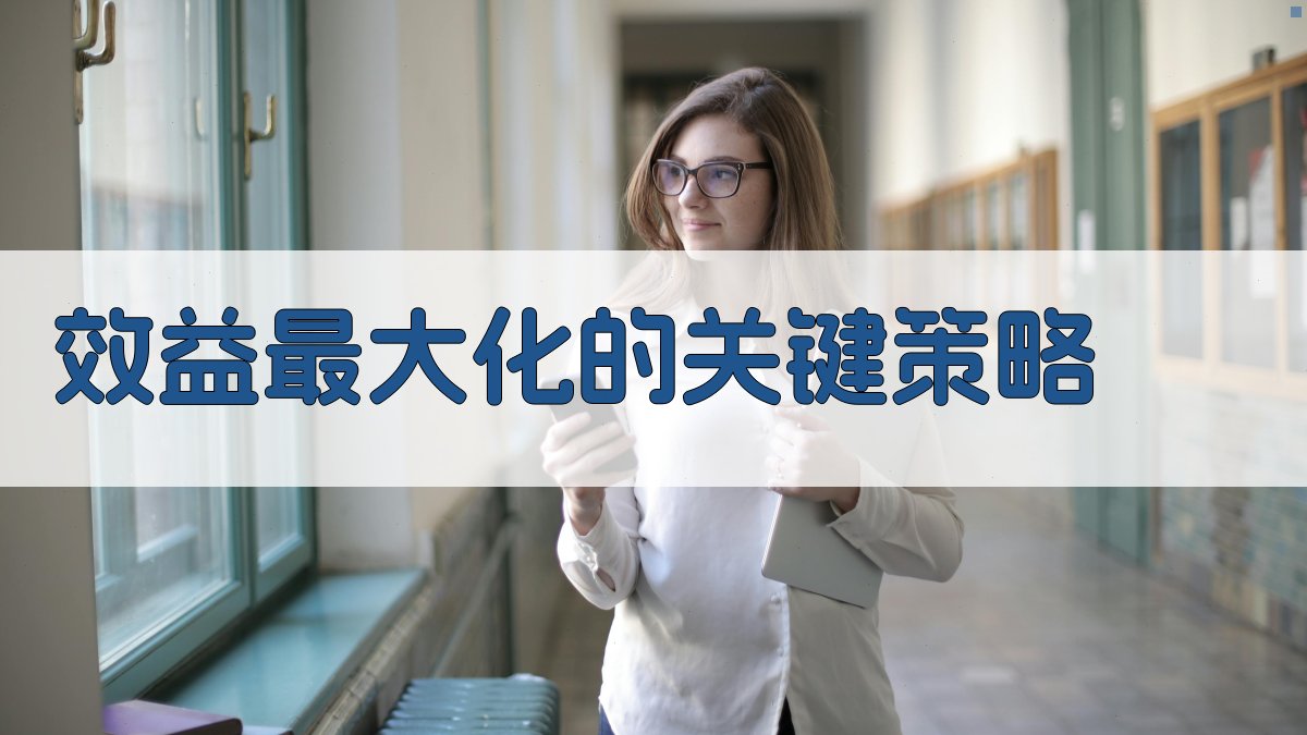 效益最大化的关键策略 图2