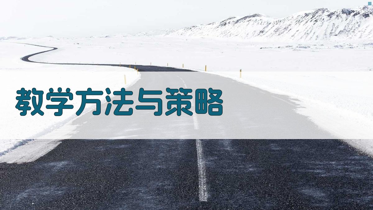 教学方法与策略 图3