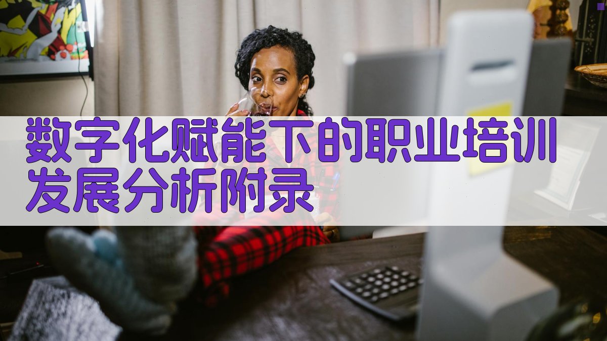 数字化赋能下的职业培训发展分析 · 附录 图3