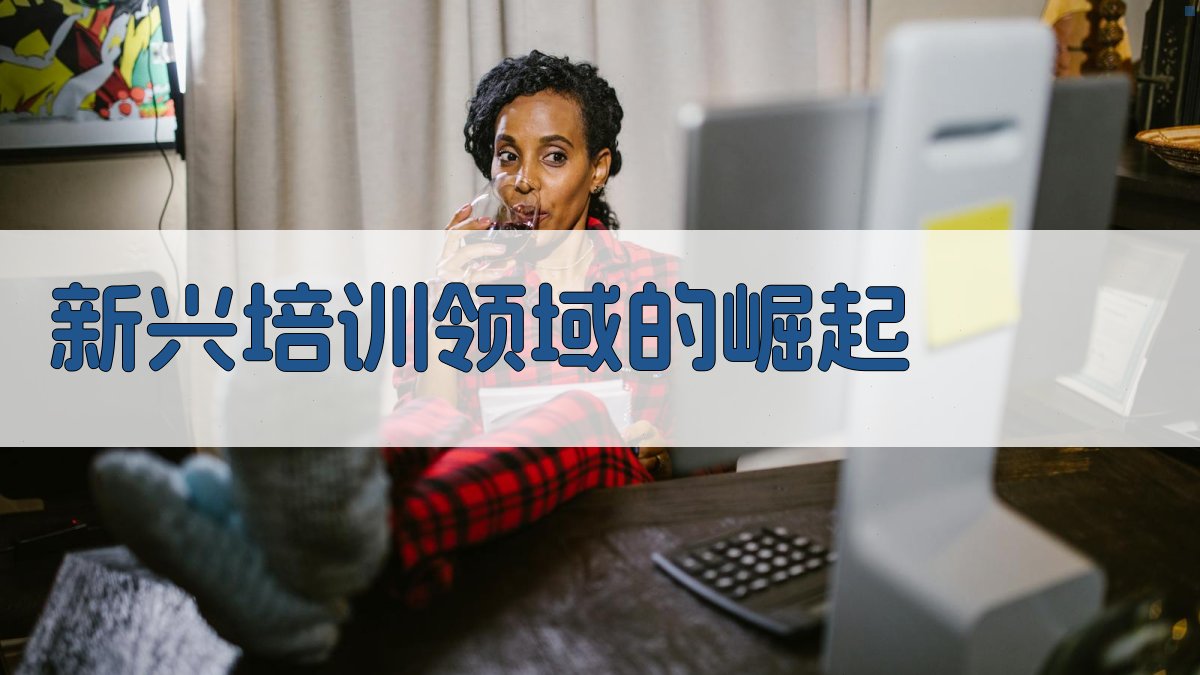 新兴培训领域的崛起 图1