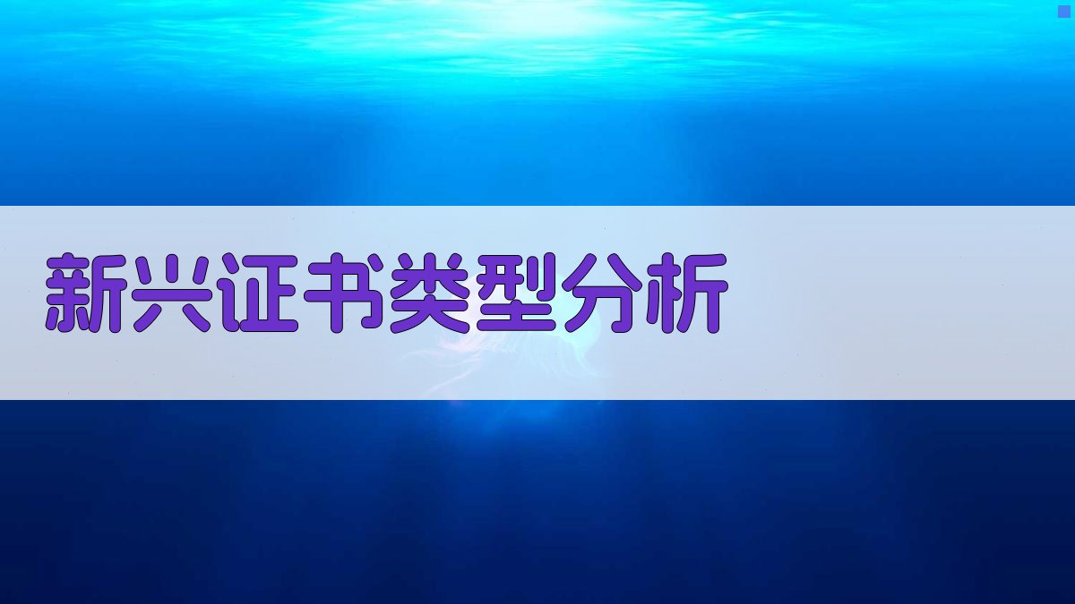 新兴证书类型分析 图1