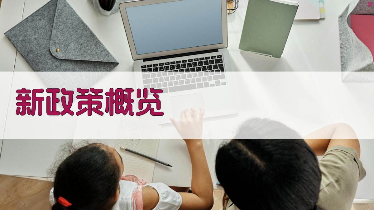 新政策概览 图1
