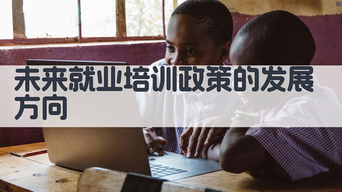 未来就业培训政策的发展方向 图1
