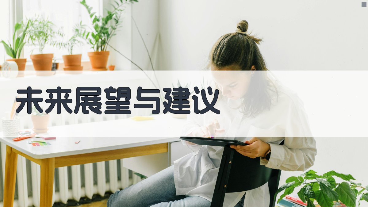 未来展望与建议 图4