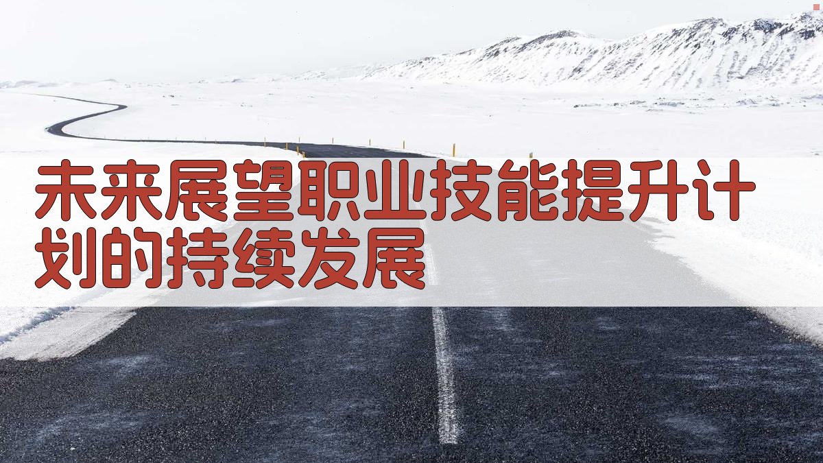 未来展望职业技能提升计划的持续发展 图4