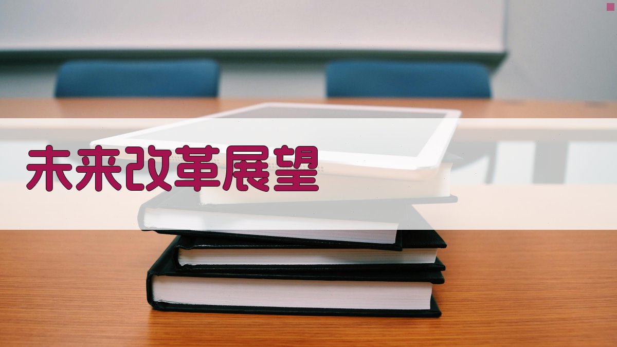 未来改革展望 图4