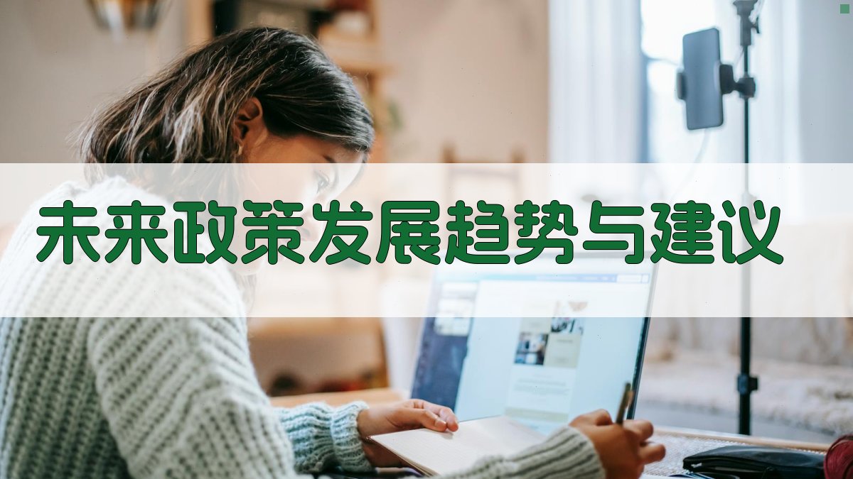 未来政策发展趋势与建议 图4