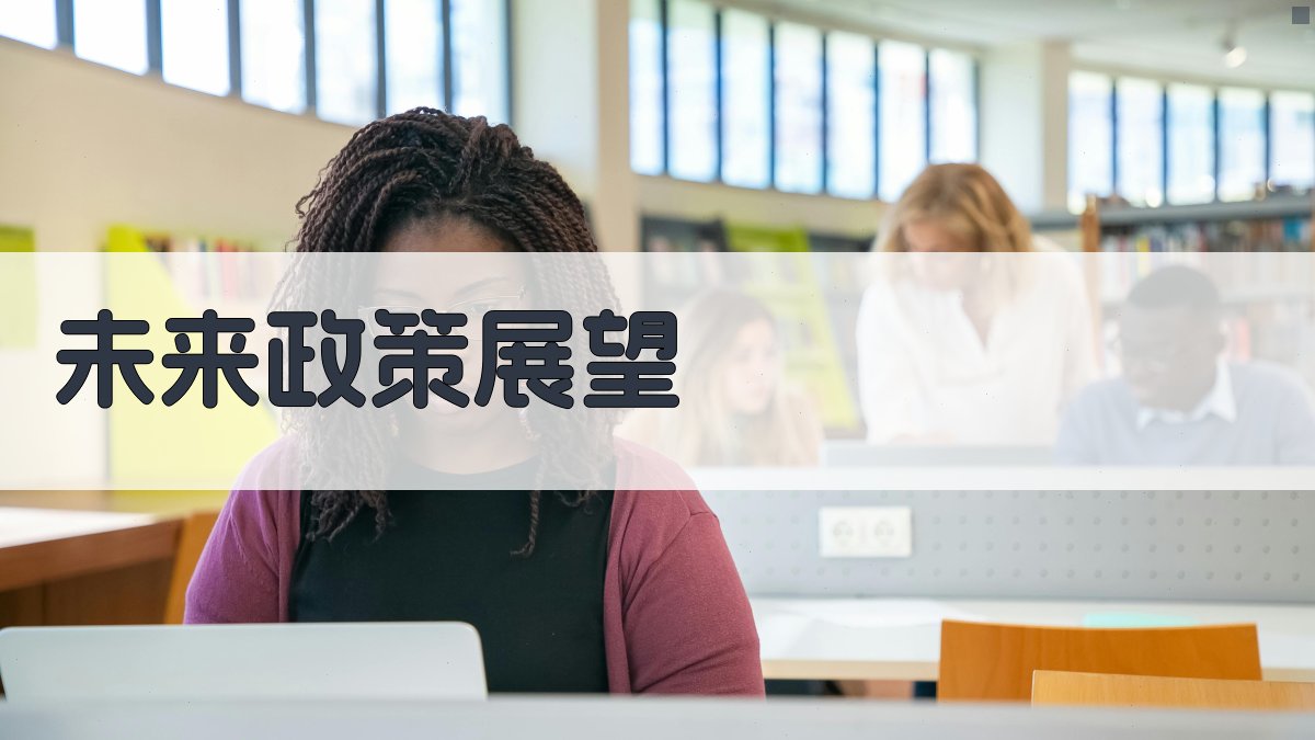 未来政策展望 图3