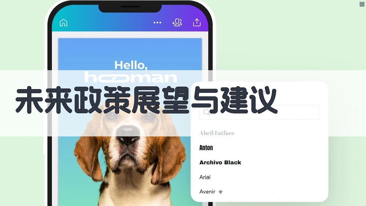 未来政策展望与建议 图3