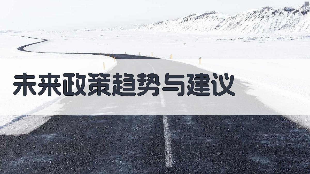 未来政策趋势与建议 图2
