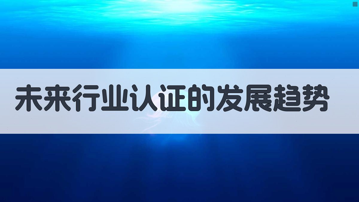 未来行业认证的发展趋势 图3