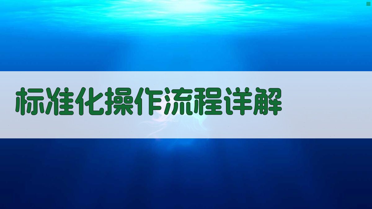 标准化操作流程详解 图1