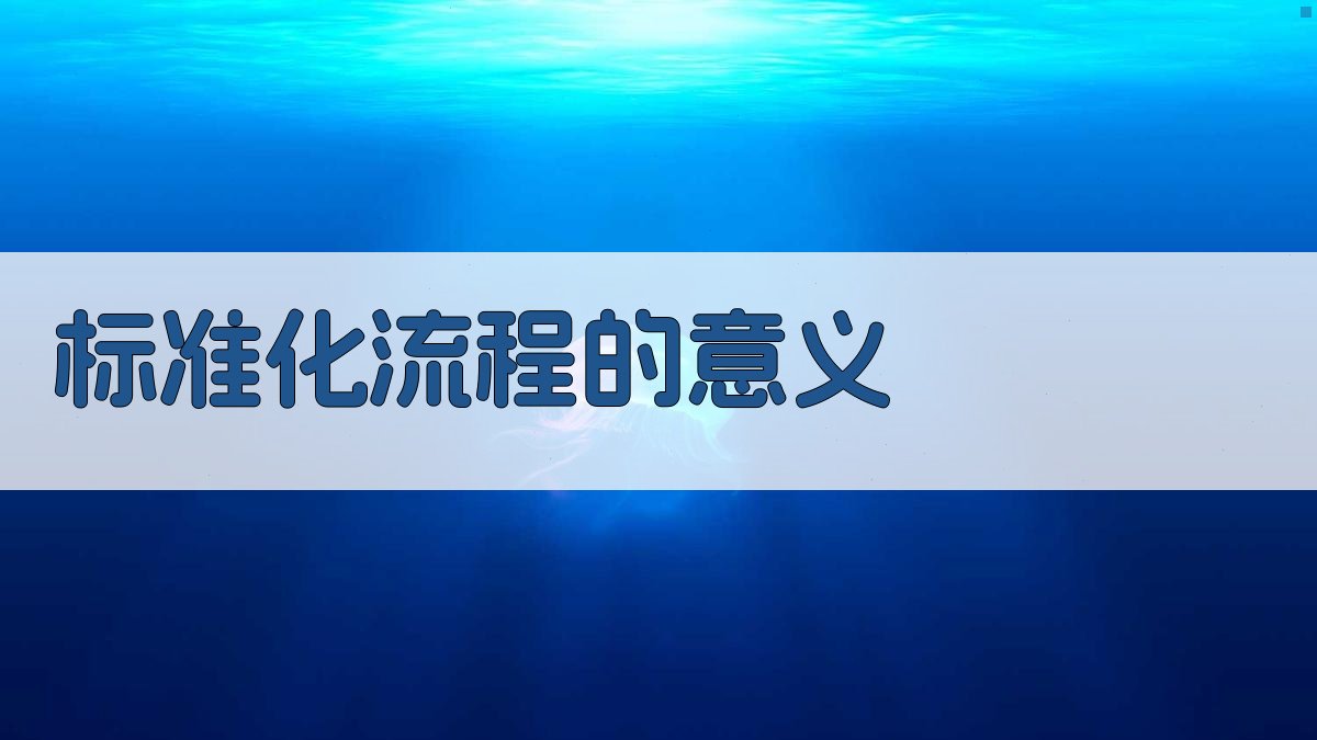 标准化流程的意义 图5