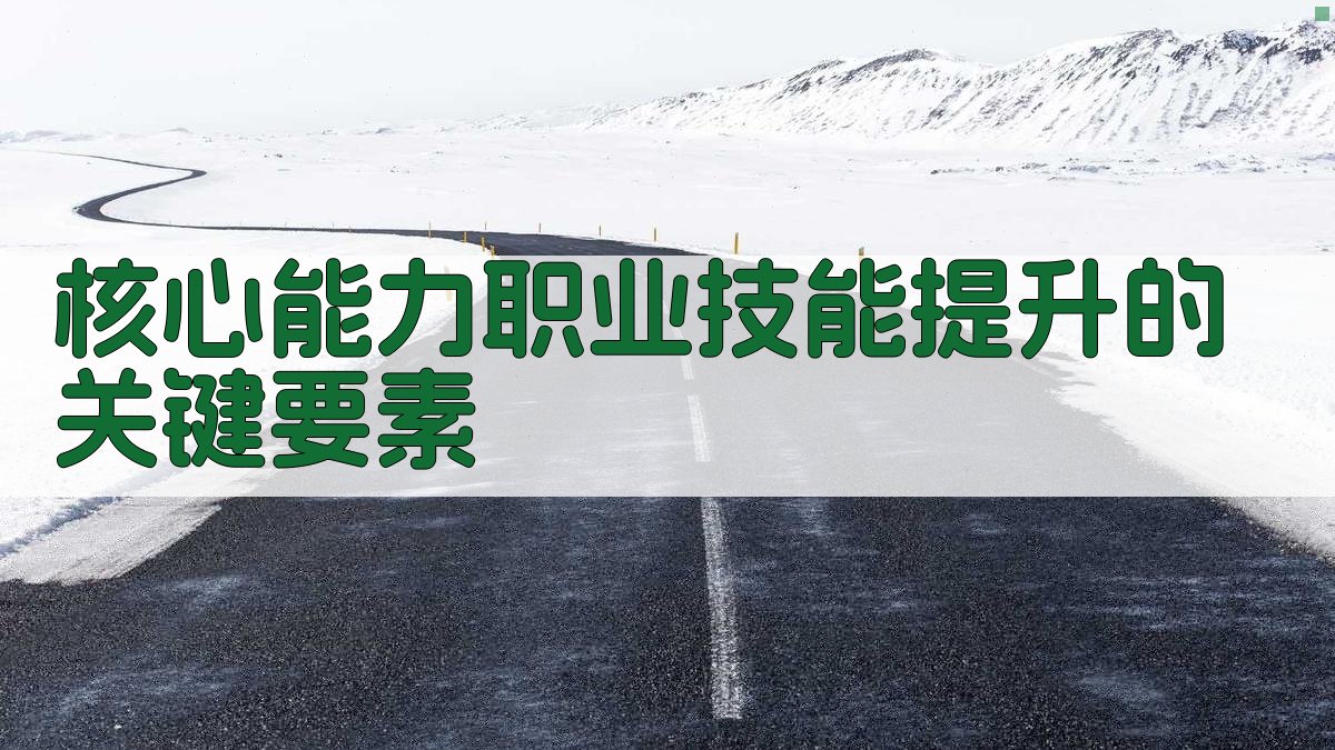 核心能力职业技能提升的关键要素 图2