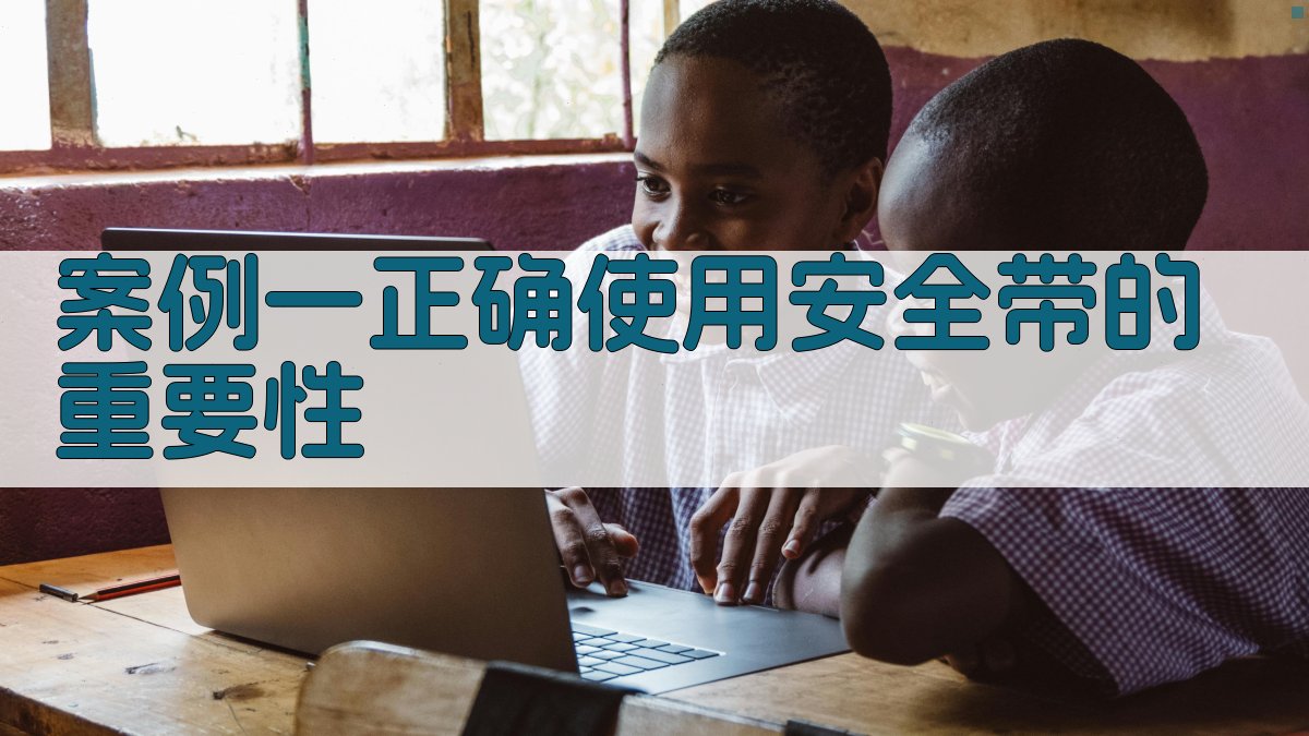 案例一正确使用安全带的重要性 图1