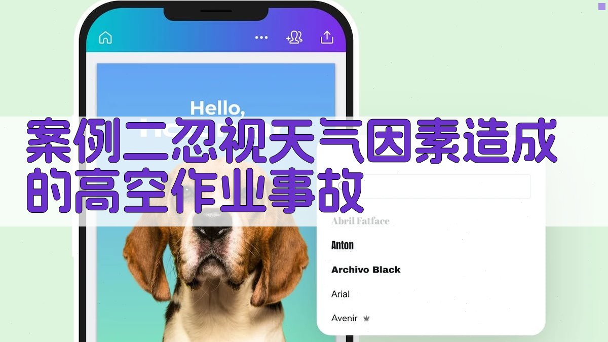 高空作业安全实操演练实战案例分析
