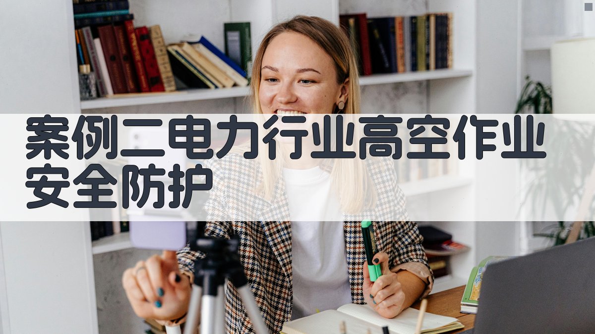 案例二电力行业高空作业安全防护 图2