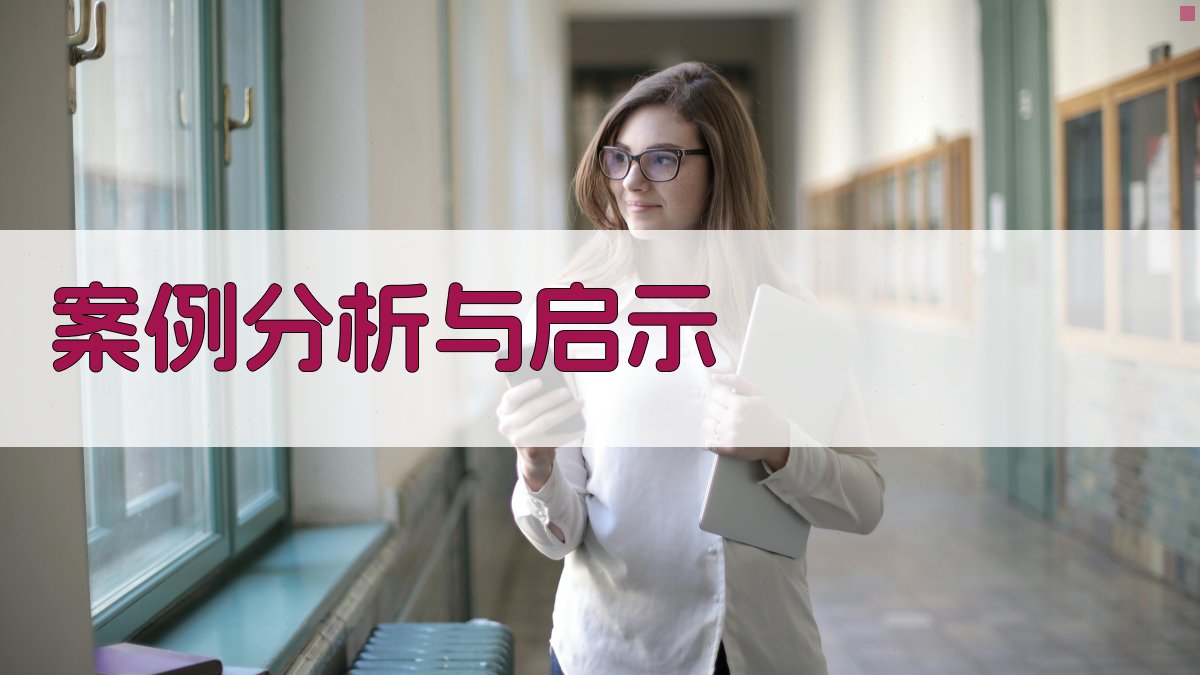 案例分析与启示 图3