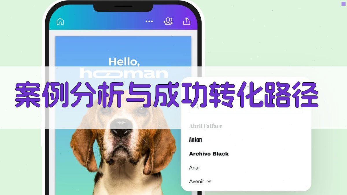 案例分析与成功转化路径 图3