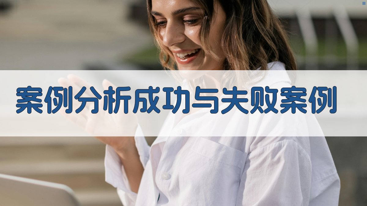 案例分析成功与失败案例 图2