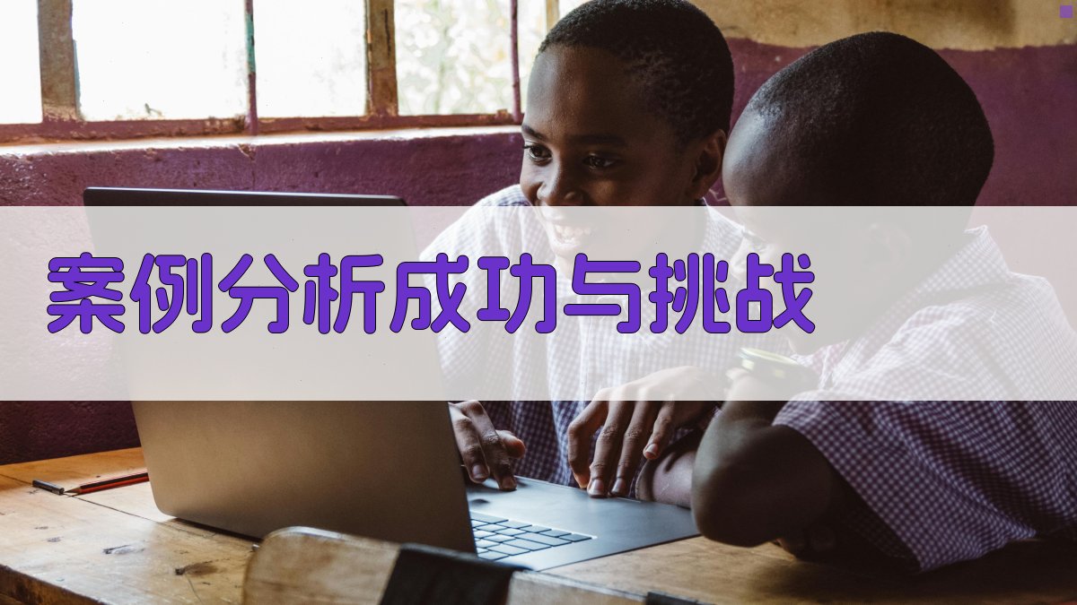 案例分析成功与挑战 图4