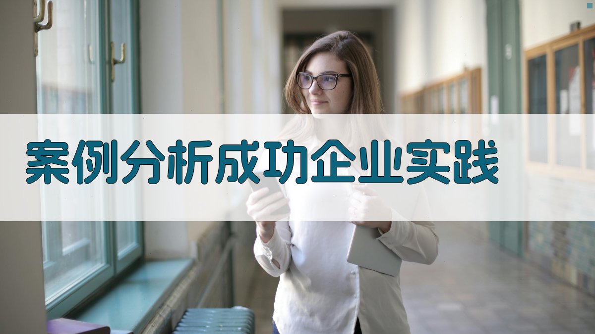 案例分析成功企业实践 图1