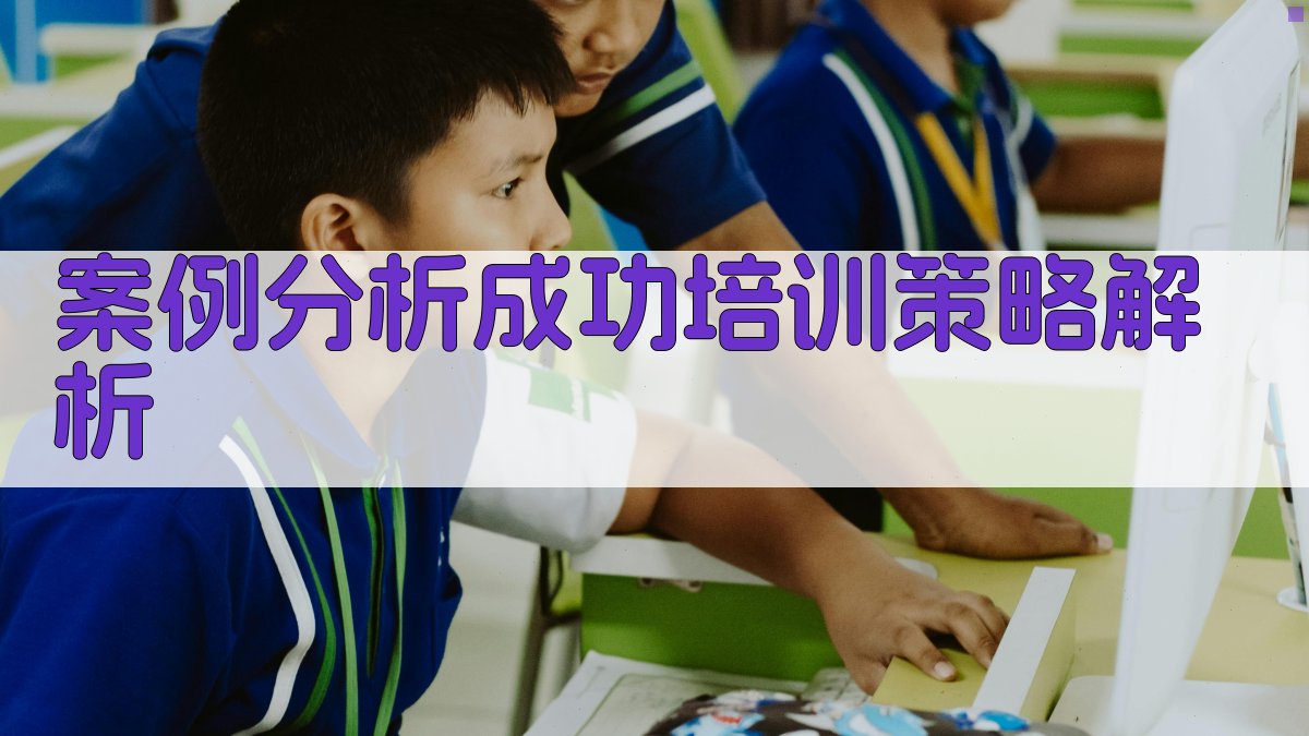 案例分析成功培训策略解析 图3