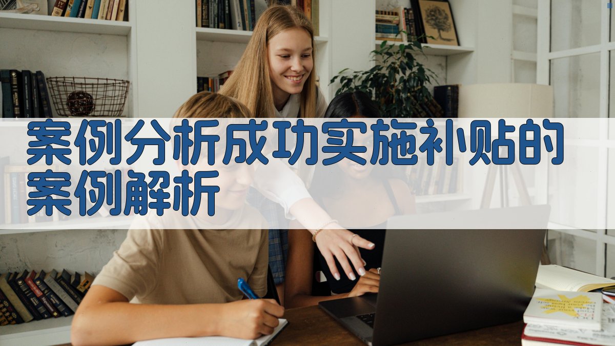案例分析成功实施补贴的案例解析 图3