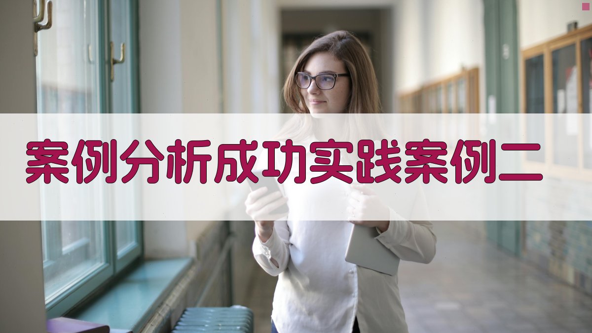 案例分析成功实践案例二 图2