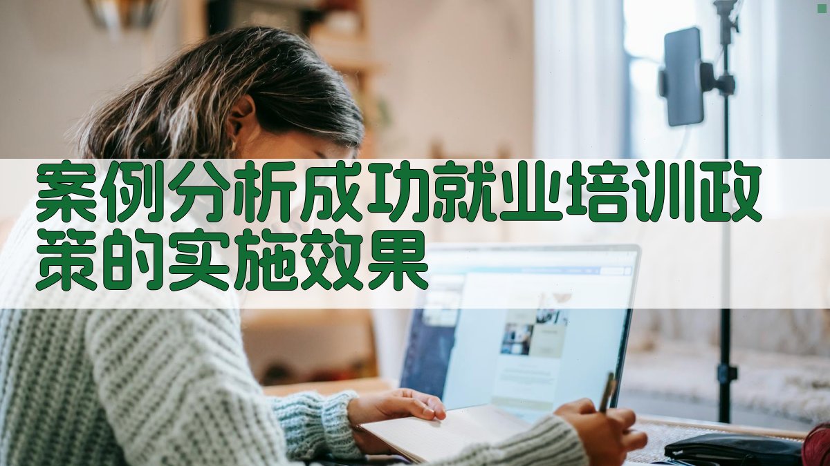 案例分析成功就业培训政策的实施效果 图2