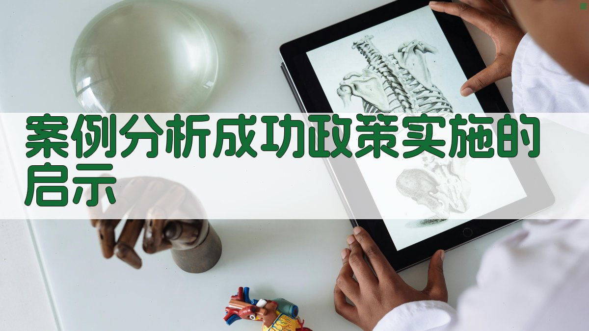 案例分析成功政策实施的启示 图2