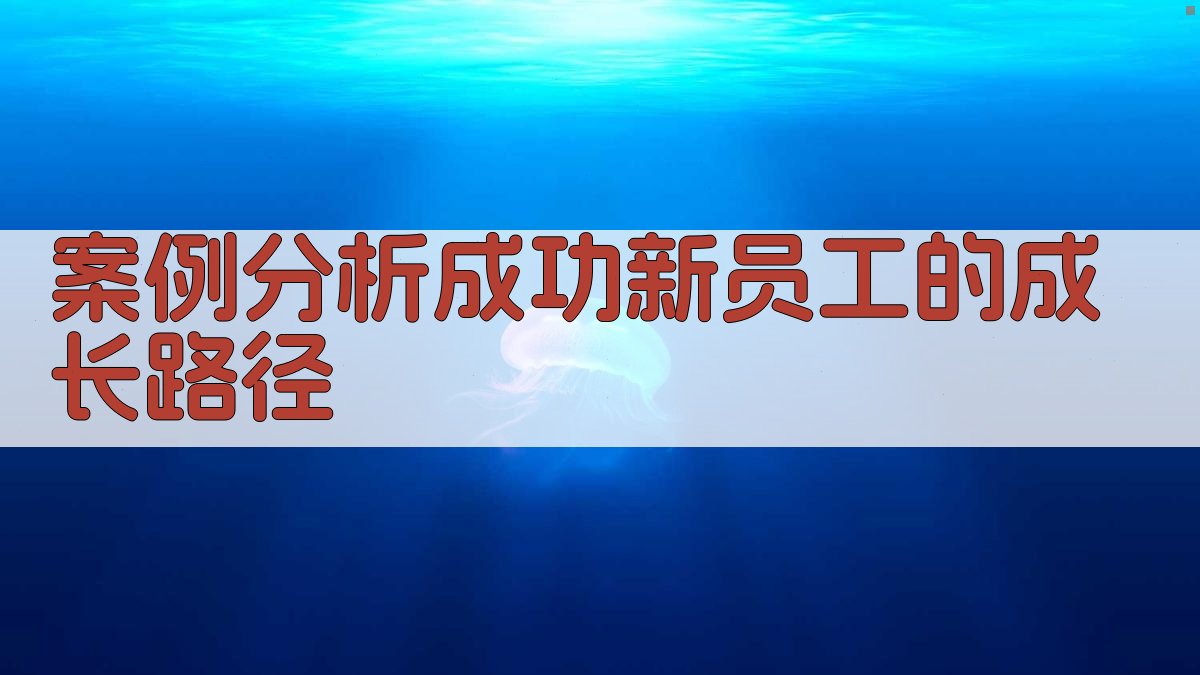 案例分析成功新员工的成长路径 图4