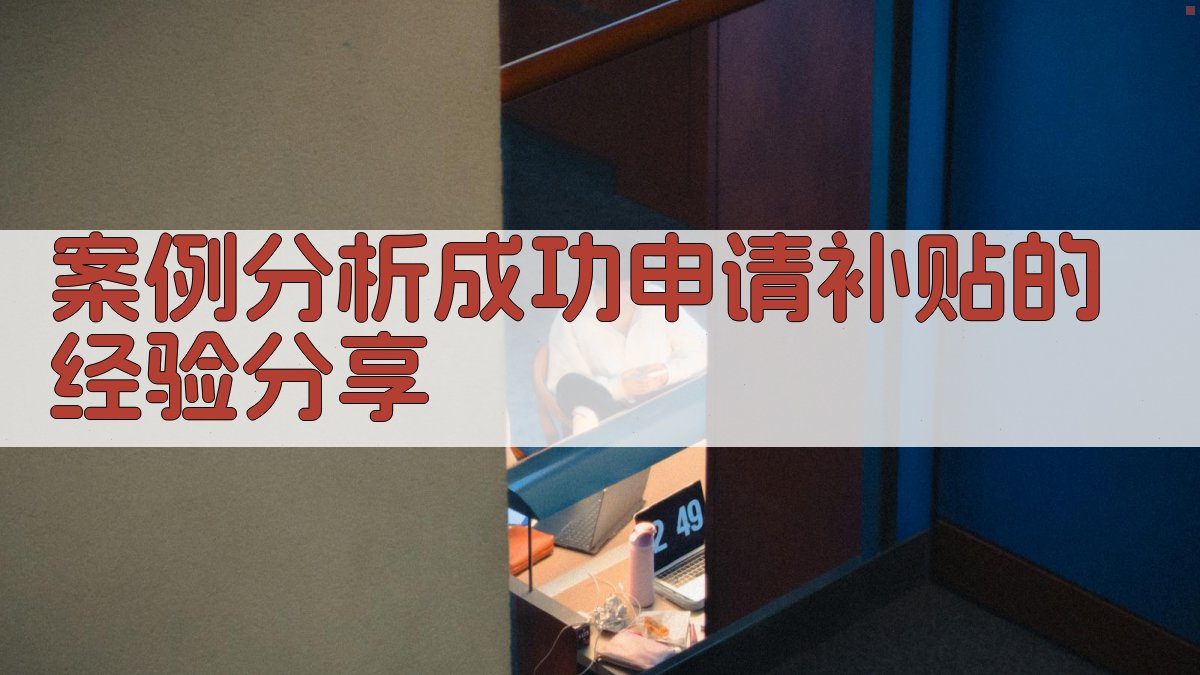 案例分析成功申请补贴的经验分享 图1