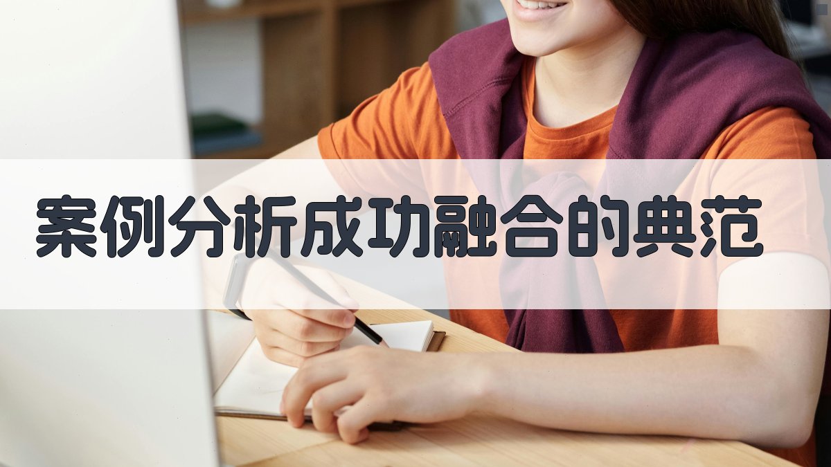 案例分析成功融合的典范 图3