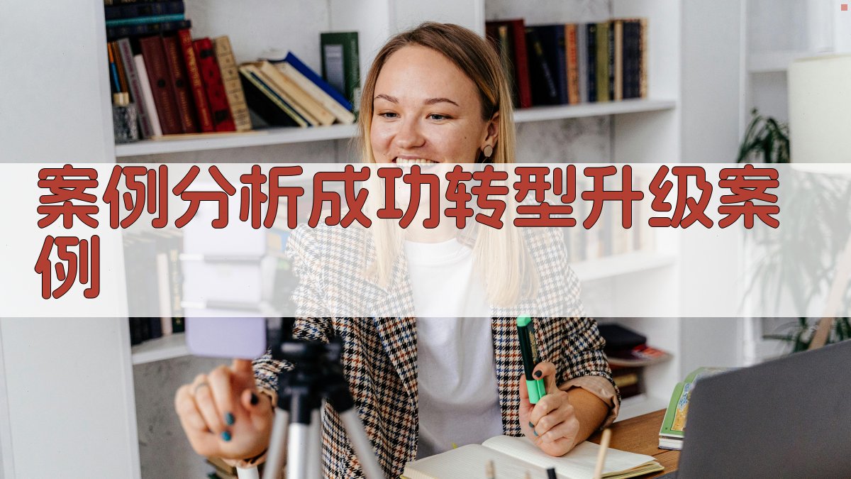 案例分析成功转型升级案例 图2