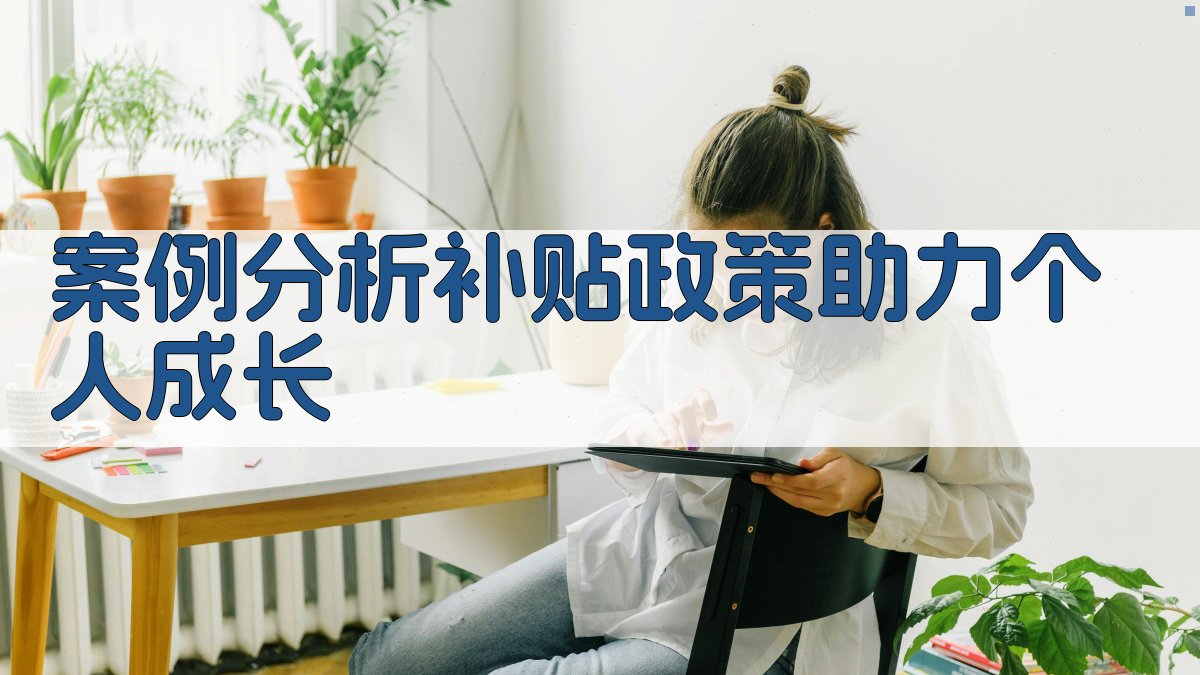 案例分析补贴政策助力个人成长 图2
