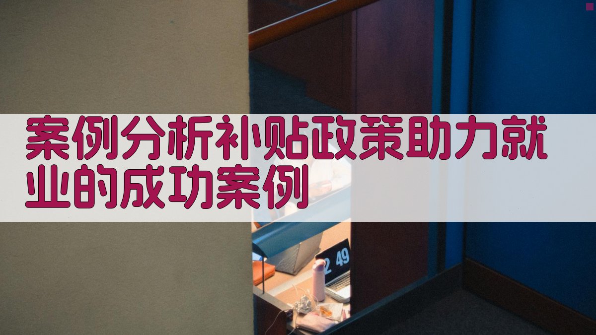 就业培训政策优化