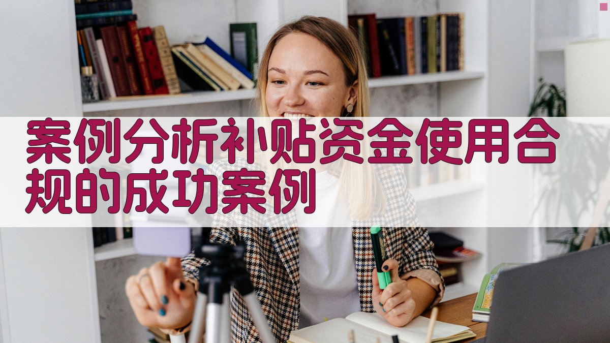 案例分析补贴资金使用合规的成功案例 图3